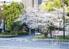 ChatGPT：自然言語処理AIの可能性と新しいイノベーション